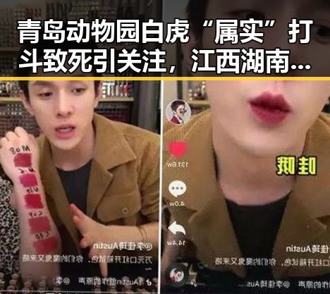 青岛动物园白虎“属实”打斗致死引关注,江西湖南启动国家地质灾四级应急反应引发反思