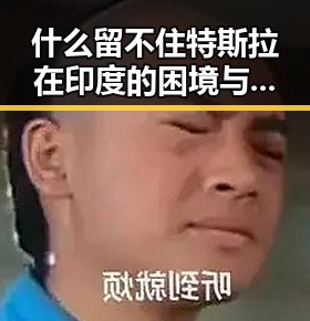 什么留不住特斯拉在印度的困境与全国首个无目的地海上游启航引发的热议