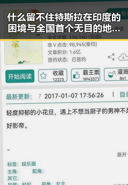 什么留不住特斯拉在印度的困境与全国首个无目的地海上游启航引发的热议
