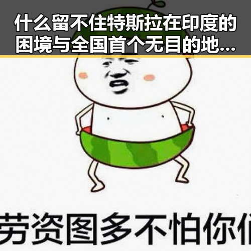 什么留不住特斯拉在印度的困境与全国首个无目的地海上游启航引发的热议